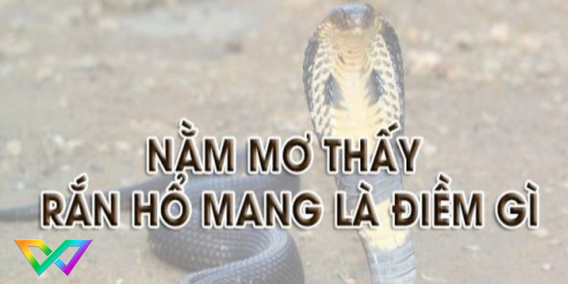 nam-mo-thay-ran-ho-mang-la-diem-bao-gi
