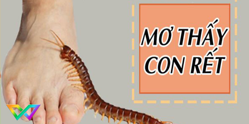 ngu-mo-thay-ret-la-diem-bao-gi-3